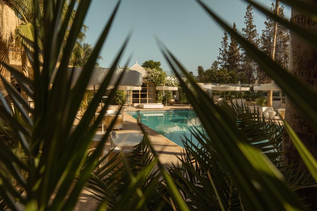 Bazén v ubytování Les Palmiers Boutique Hôtel & Spa nebo v jeho okolí