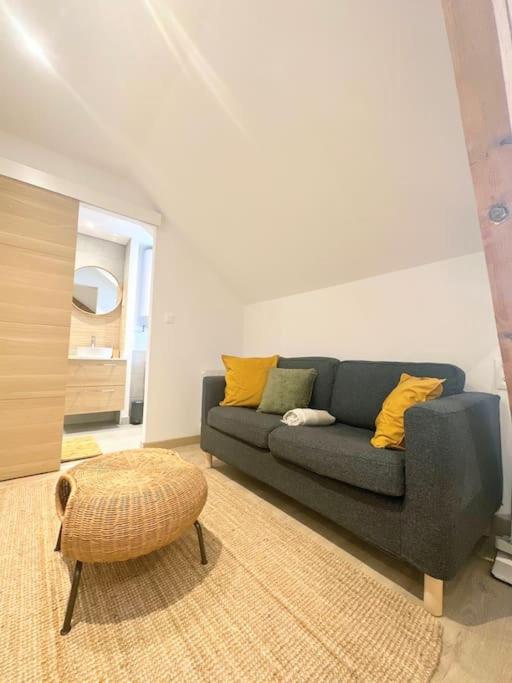 Posezení v ubytování / /Sacré studio/ /wifi/ /parking privé