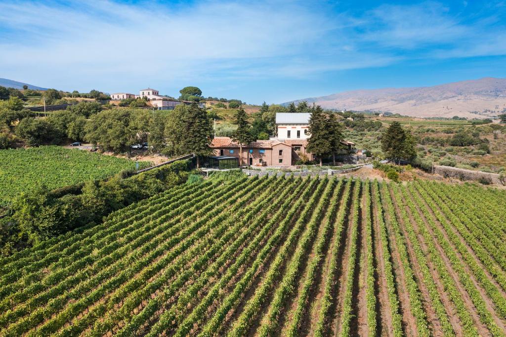 an aerial view of a vineyard in front of a house at Dimora Cottanera in Castiglione di Sicilia