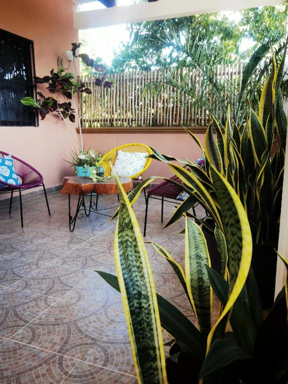 Zahrada ubytování El Roble Hotel