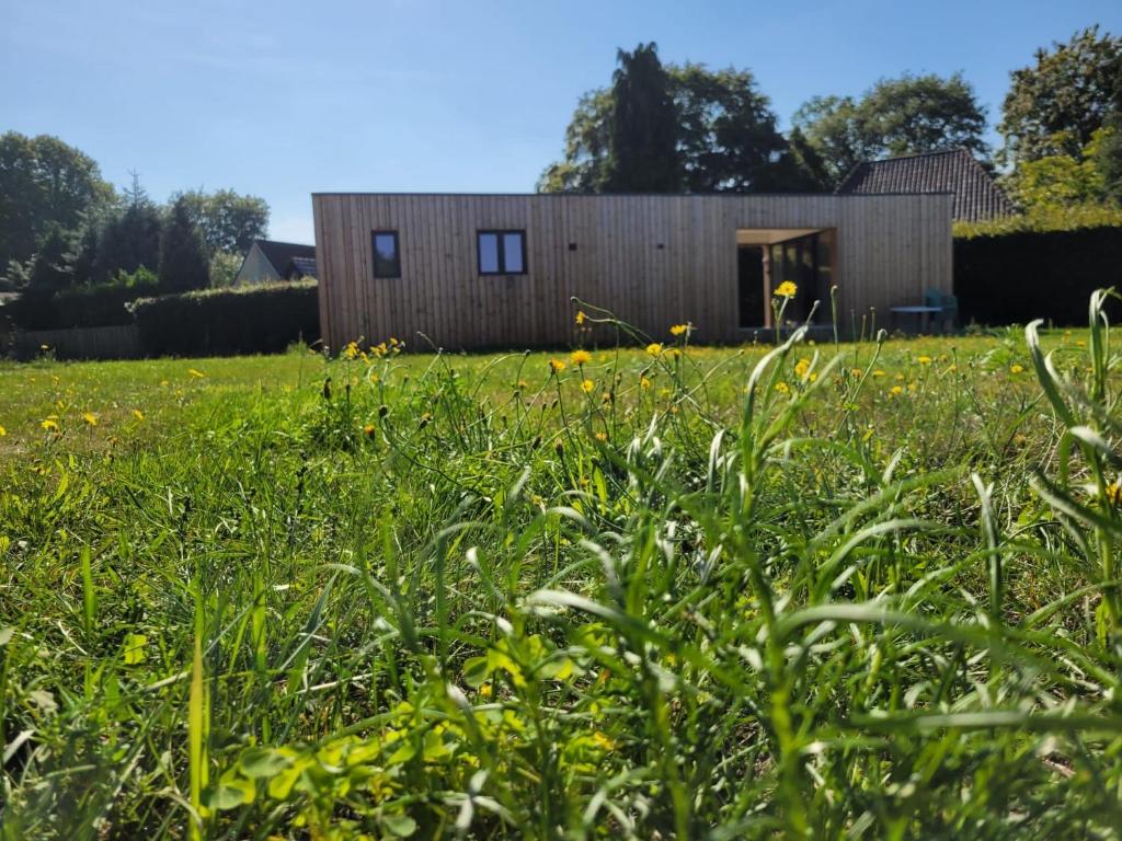 une petite maison en bois dans un champ d'herbe dans l'établissement De Texelaar, à Elspeet