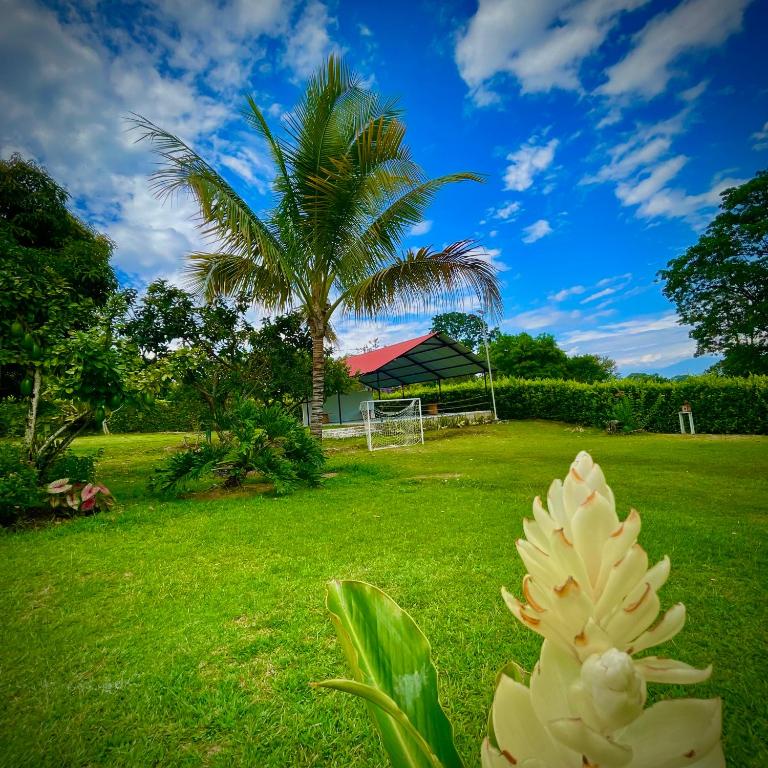 Zahrada ubytování Finca Santa Clara, Rivera-Huila