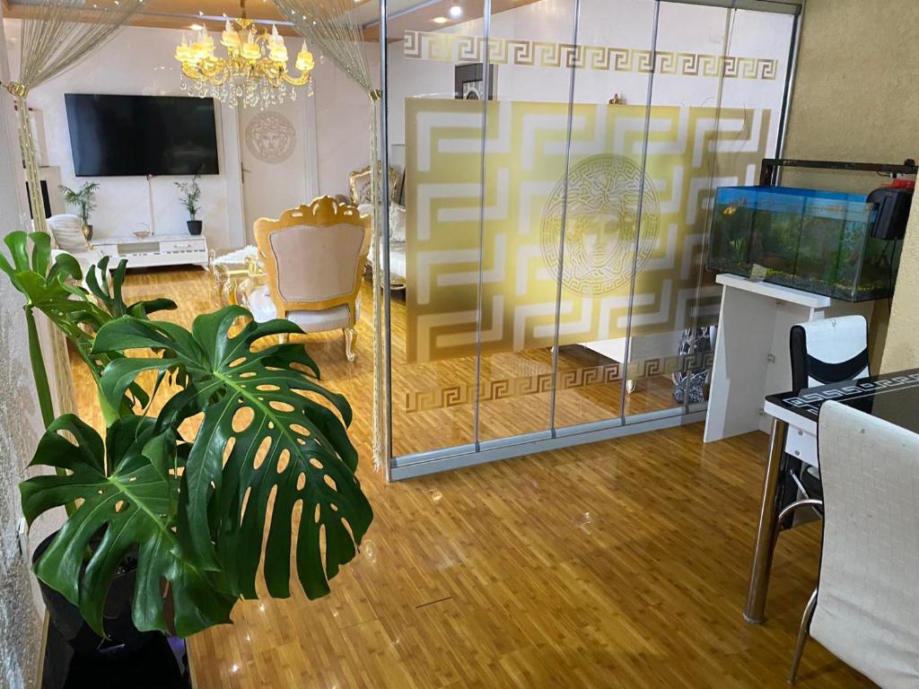 una sala de estar con una puerta de cristal y una planta en Skopje Hostel en Skopie
