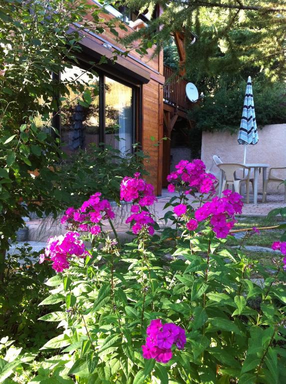 Chalets La Caillaude - Appartement - Begane Grond