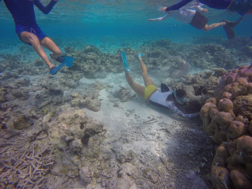 Hosté ubytování Kaafu Inn Guraidhoo