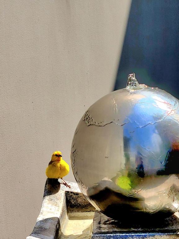Fotografie z fotogalerie ubytování 3B Barranco by Katari Hoteles v destinaci Lima