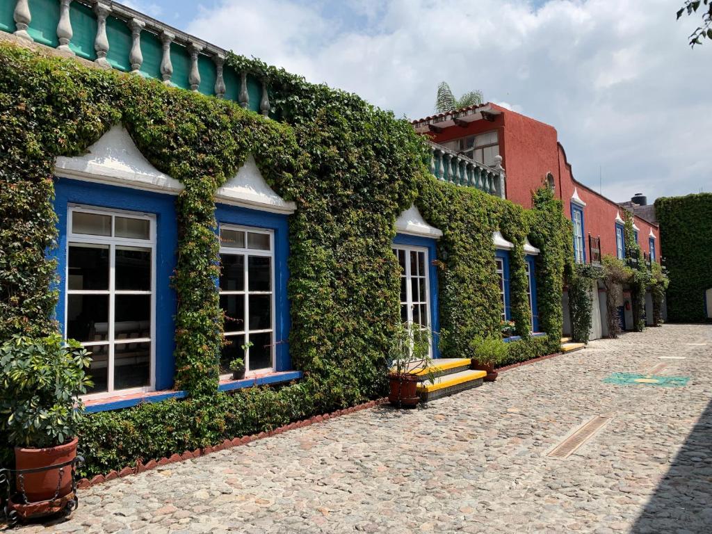 a building covered in ivy with blue windows at Mesón Yollotl in Puebla