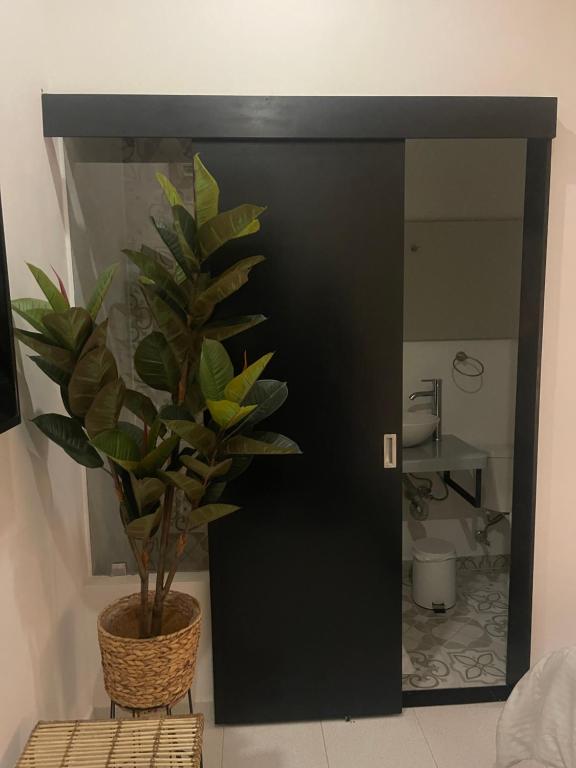 Koupelna v ubytování Moet Medellin Hotel