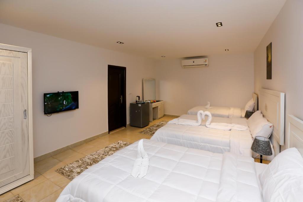 Pyramids Land Hotel - 2