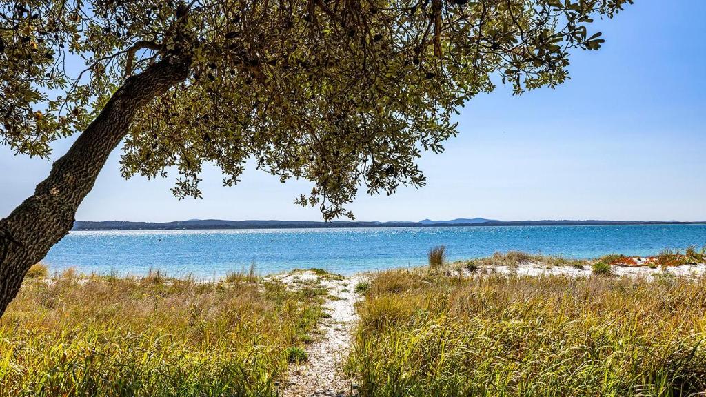 a path leading to a beach next to a tree at The Boathouse on the Beach in Corlette