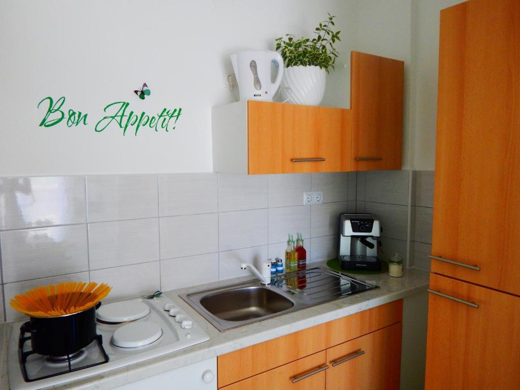 Kuchnia lub aneks kuchenny w obiekcie Apartments & Rooms Marinka