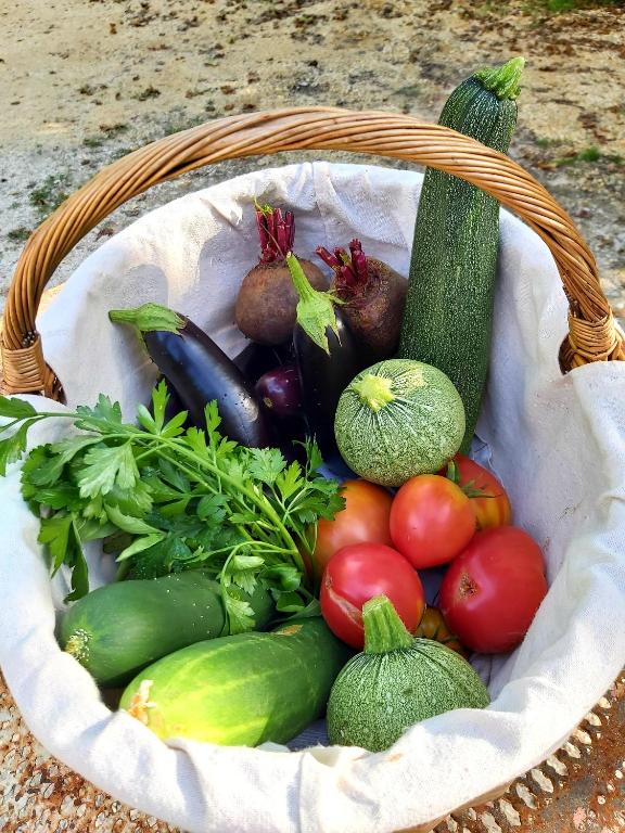 Les Jardins de la Beylie - Chambre d'hôtes - Großer Doppelzimmer