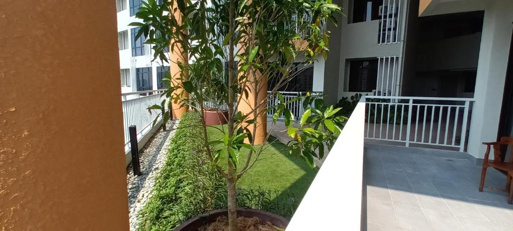 Zahrada ubytování Singgahsini Guesthouse Putrajaya