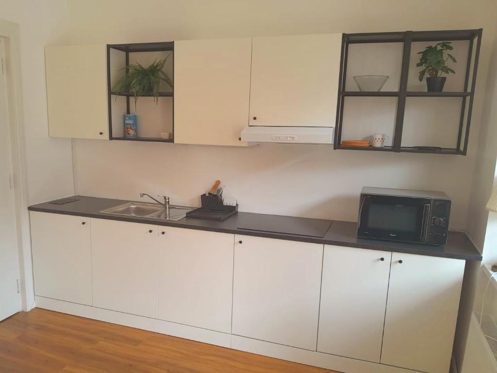 Kuchyň nebo kuchyňský kout v ubytování Rooms Miklošičeva