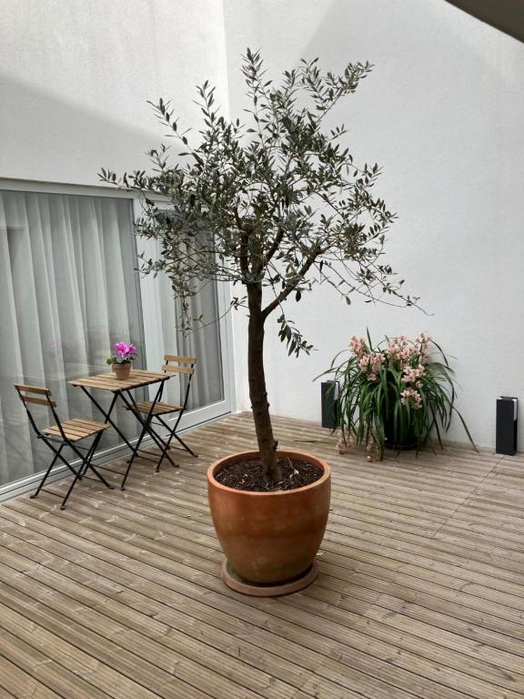 RIBEIRA FLORES 59 Downtown Apartments - 17