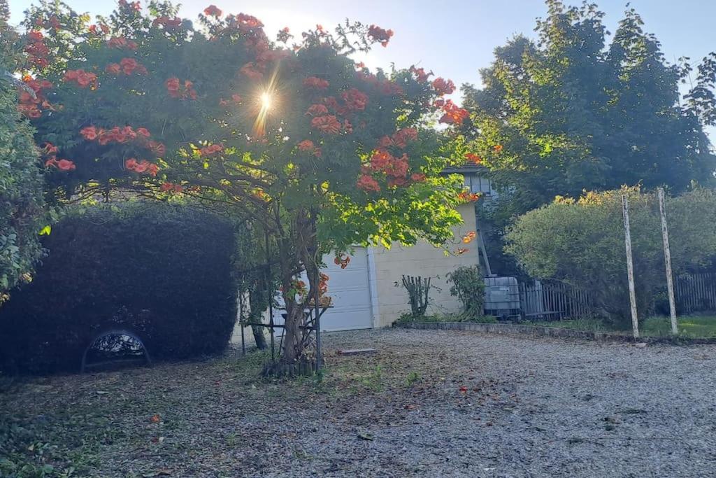 a tree with red flowers in front of a house at Charmante petite maison in Torcenay