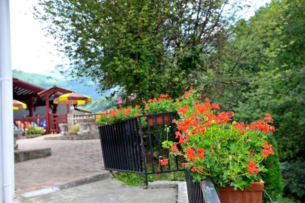 Zahrada ubytování Les Sources de La Nive