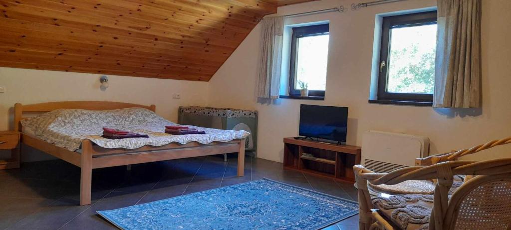TV a/nebo společenská místnost v ubytování Apartmán u Šimků