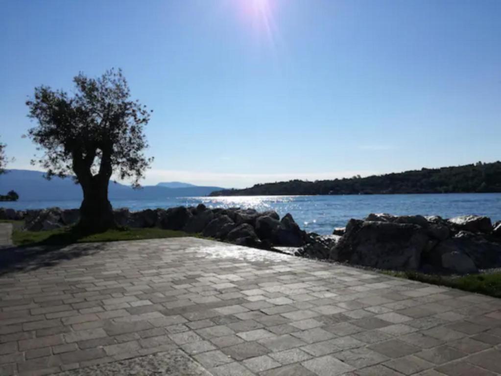 Φυσικό τοπίο κοντά σε αυτό το διαμέρισμα