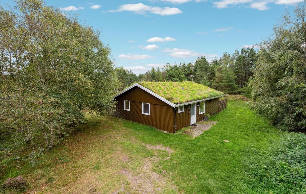 eine kleine Hütte mit Grasdach auf einem Feld in der Unterkunft Beautiful Home In Rm With Kitchen in Bolilmark
