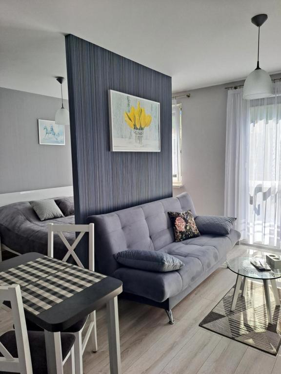 Studio Zabobrze - 13