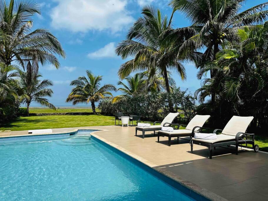 una piscina con 2 tumbonas y palmeras en ¡Fantastic Beach House!, en Arroyo de Piedra