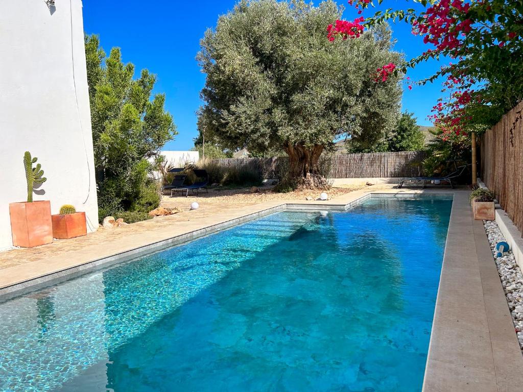 una piscina en un patio con un árbol en Villa Filon en Rodalquilar