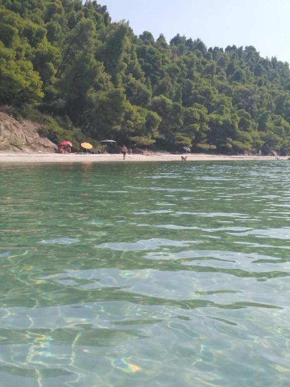Φυσικό τοπίο κοντά σε αυτή η βίλα