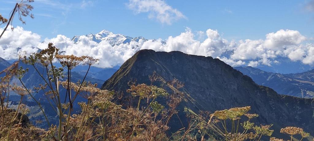 a view of a mountain with clouds in the sky at Les Gets apartment in Les Gets