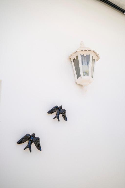 Apartamentos Flor da Laranja, Albufeira by AlgarveBlossom - 12