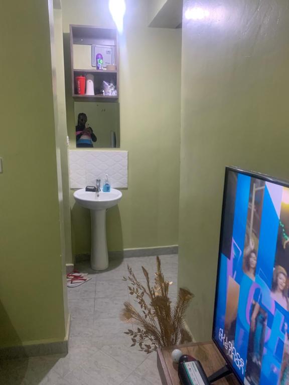 uma casa de banho com um lavatório e uma televisão de ecrã plano em Nyumbani kuzuri em Nakuru