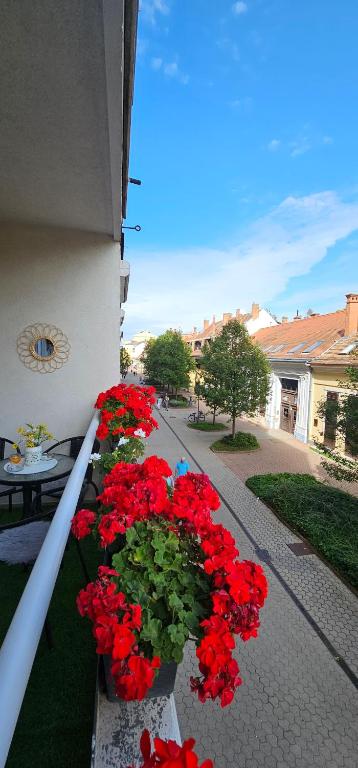 A garden outside ANNA GYÖNGYE APARTMAN DEBRECEN