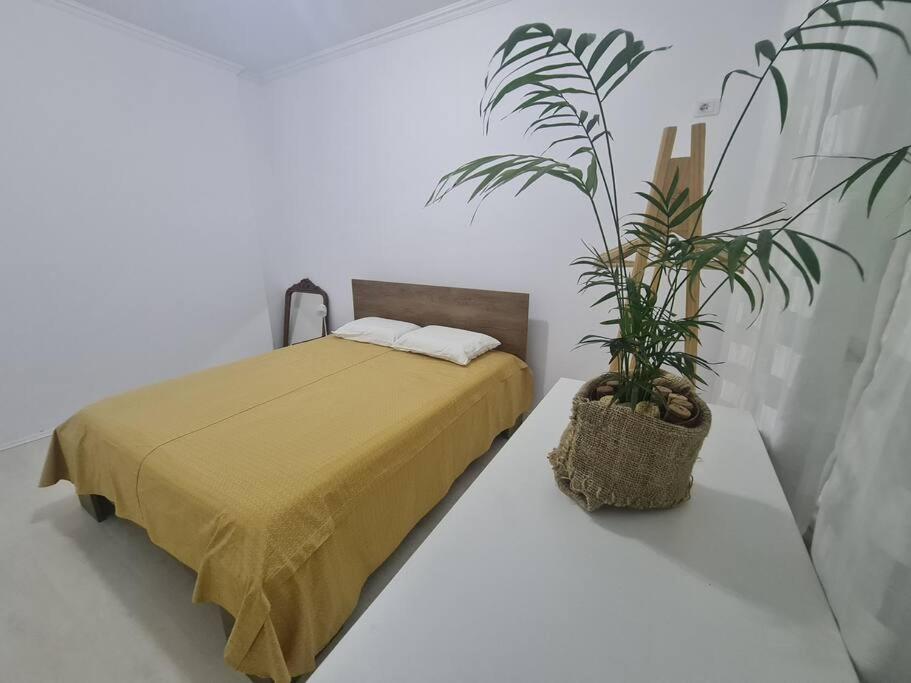 Cozy apartment 16 - PazariRi D - Imazhi 2
