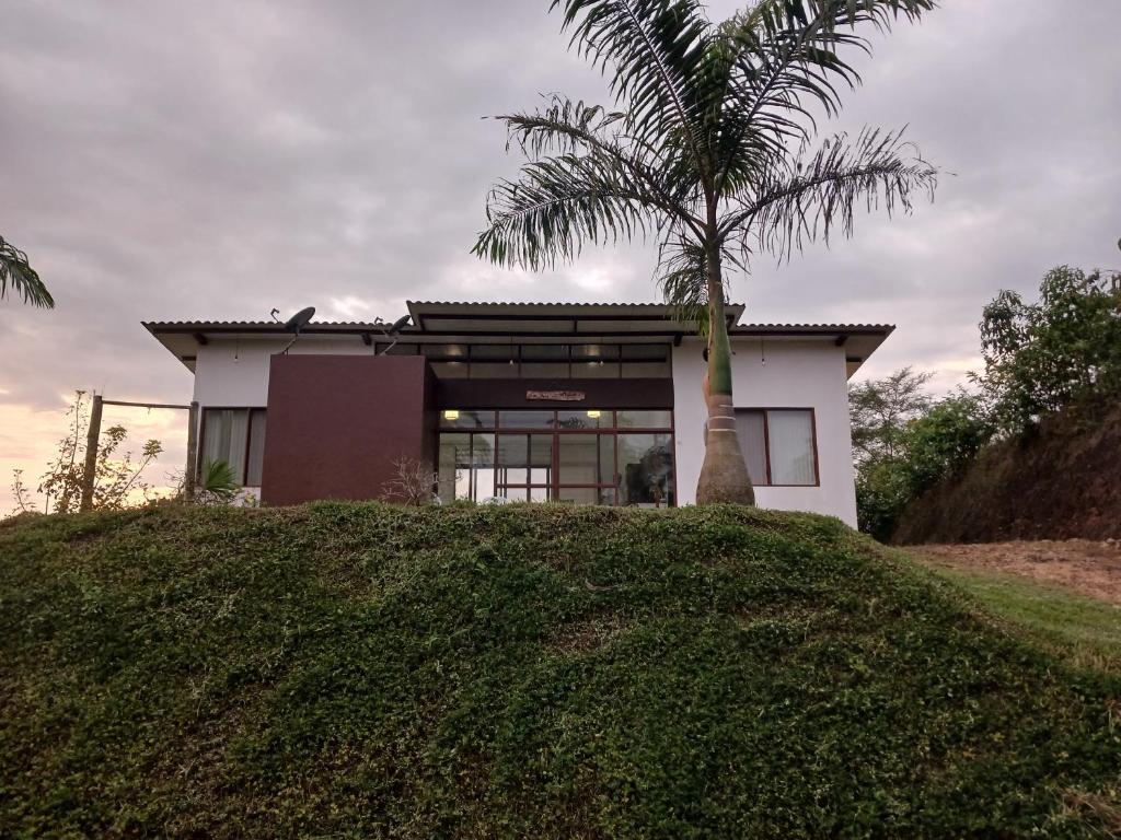 a house on a hill with a palm tree at Casa vacacional en Pedro Vicente Maldonado in Pedro Vicente Maldonado