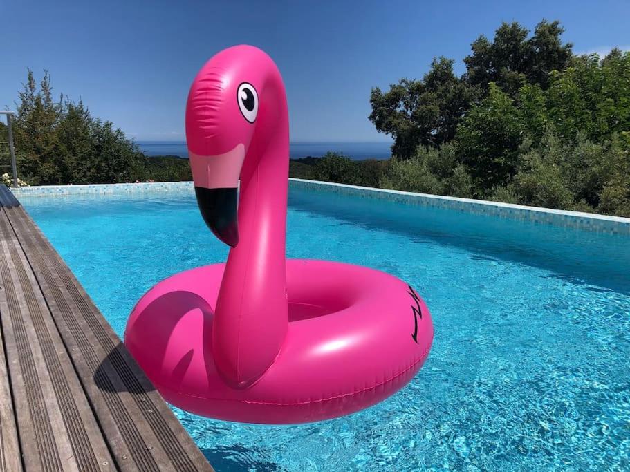 un flotteur de flamants roses dans une piscine dans l'établissement Piscine Mer et Maquis, à San-Giuliano