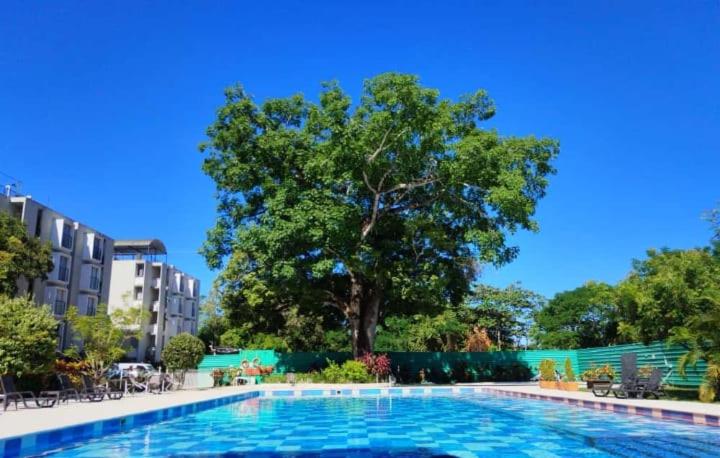 a large swimming pool with a tree in the background at Apartamento Melgar - Altagracia in Melgar