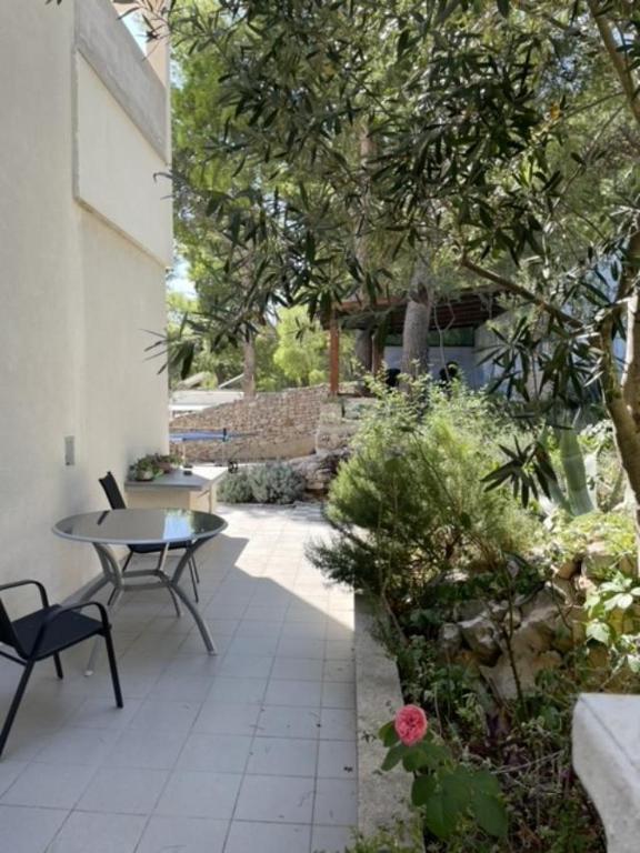 Zahrada ubytování Villa Casabianca