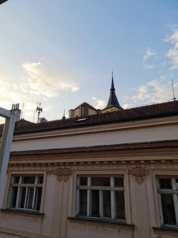 Fotografie z fotogalerie ubytování Laxmi Happy Home in historical Prague v Praze