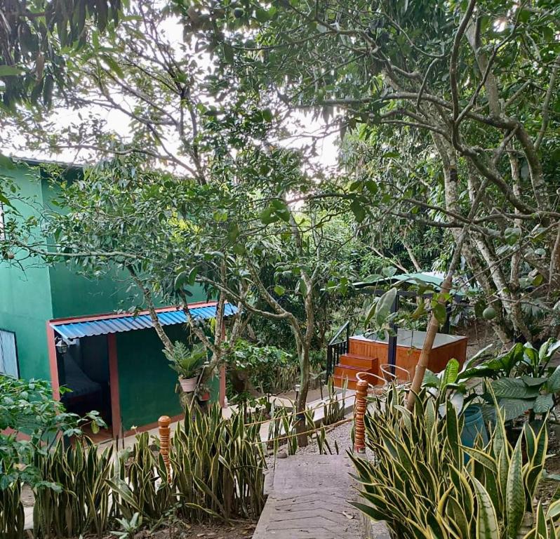 a garden with trees and benches and a building at Cabaña El Mirador - La Mesa in La Mesa