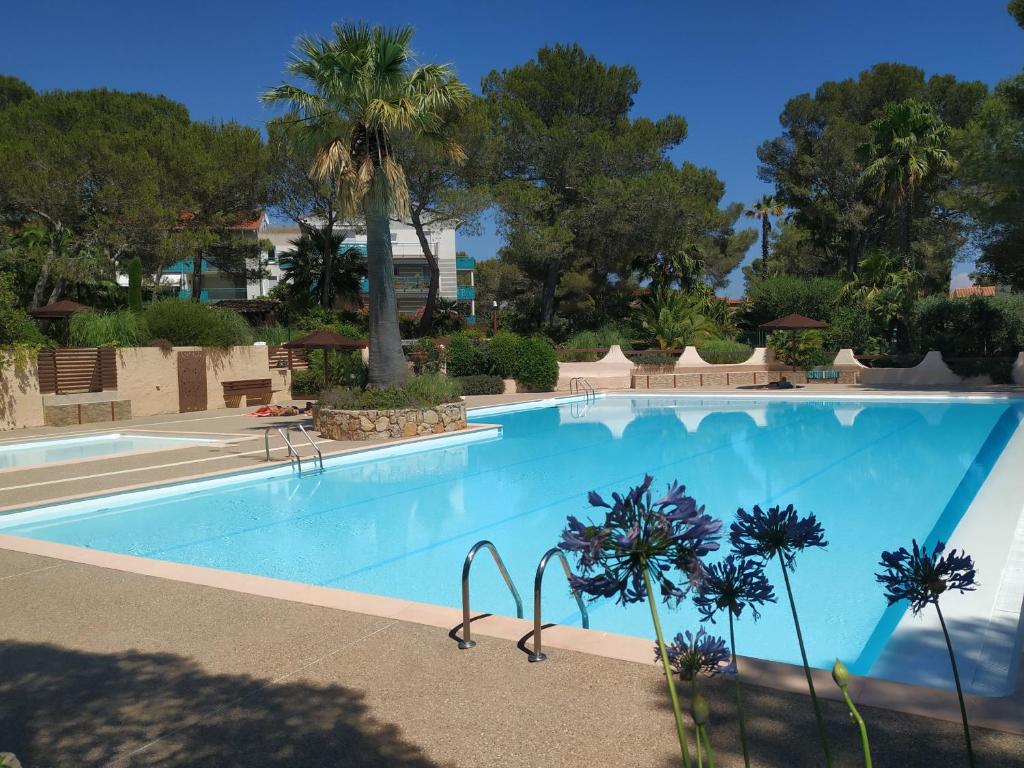 une grande piscine bleue avec des arbres en arrière-plan dans l'établissement Appartement Saint Raphaël: rez de Jardin, 2 chambres, piscines, à Saint-Raphaël