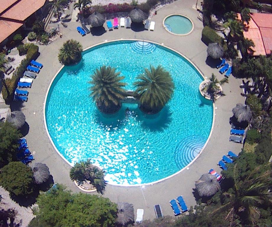 uitzicht op een groot zwembad met palmbomen bij Kas di BaMi A-186 op Seru Coral Resort - Ruim appartement met groot zwembad en tropische tuin in Willemstad