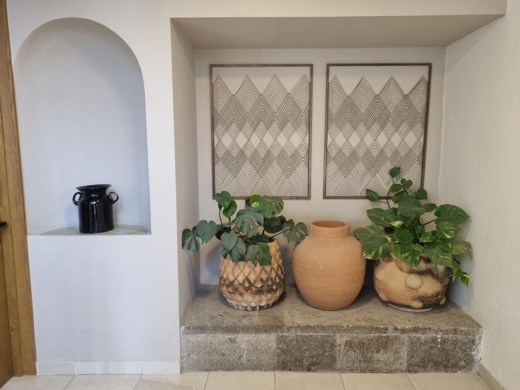 tres jarrones sentados en una cornisa de piedra con plantas en Casa Victorias en Guadalajara