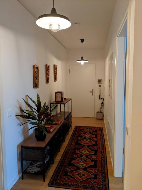 EITHER Private 2B2B OR Shared 1B1B, Luxury, Bright, Spacious - 7