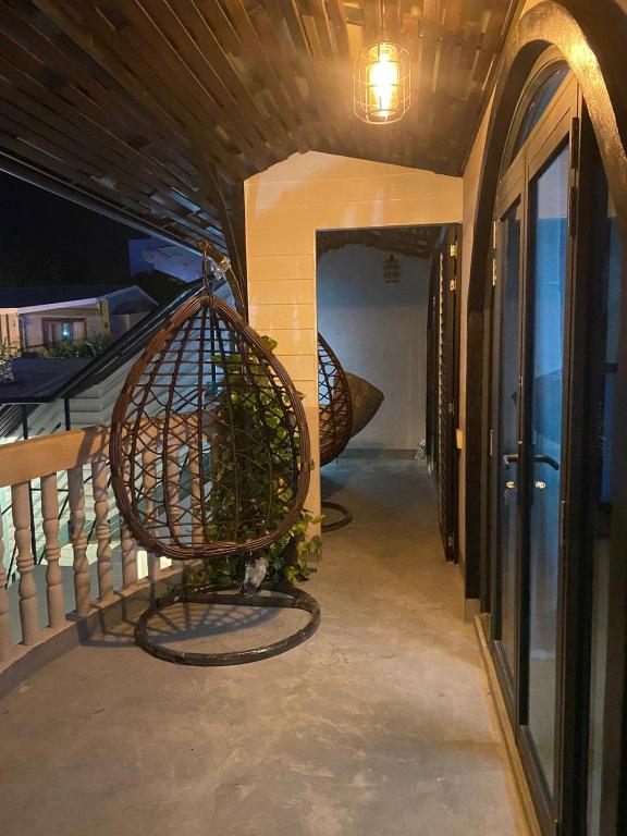 Fotografie z fotogalerie ubytování Zinnia Maafushi v Maafushi