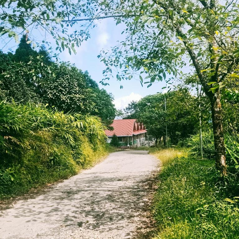 Příroda nedaleko ubytování v soukromí