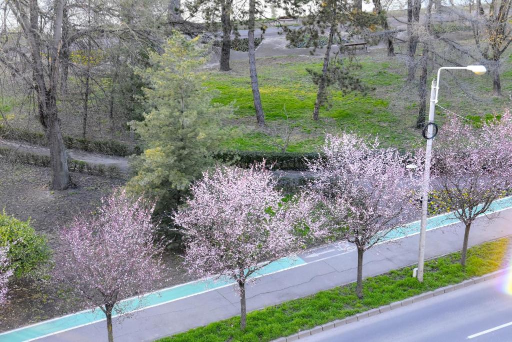 Fotografie z fotogalerie ubytování Riverside 1 v destinaci Temešvár