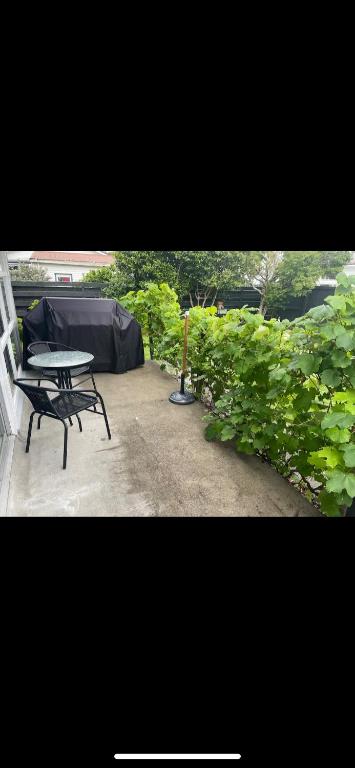 Sunny 2bdrm home close to Hospital & Gardens - Resim 6