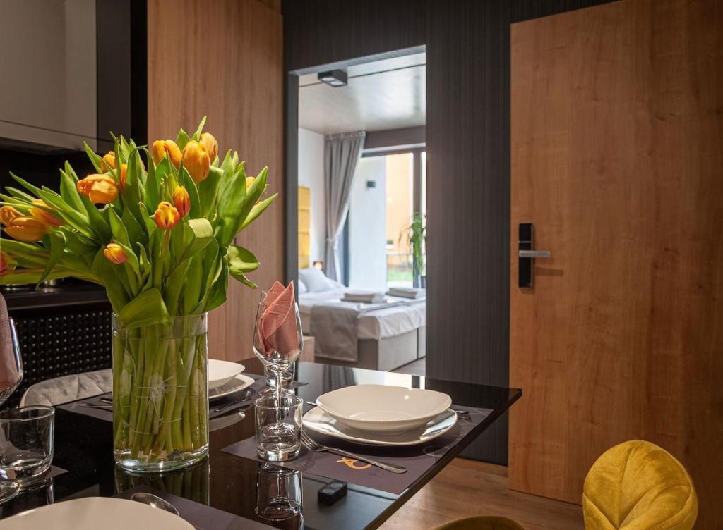 Fotografie z fotogalerie ubytování R31 Residence v destinaci Sárvár