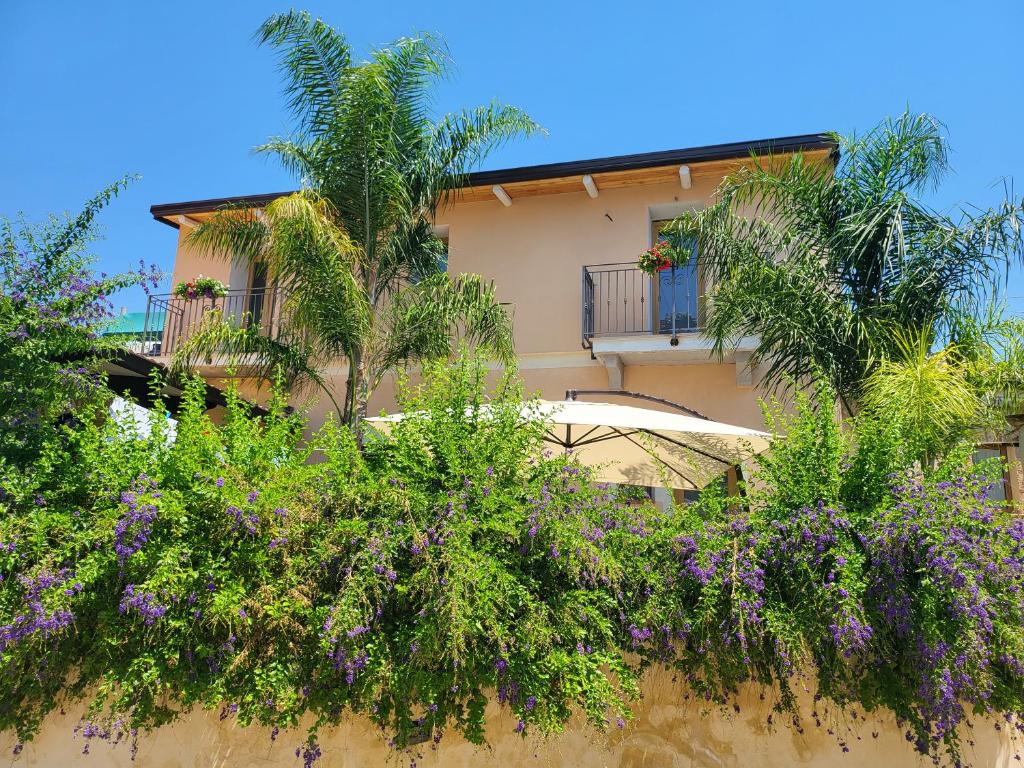 un edificio con un montón de árboles y flores púrpuras en Vista Allaro, en Caulonia