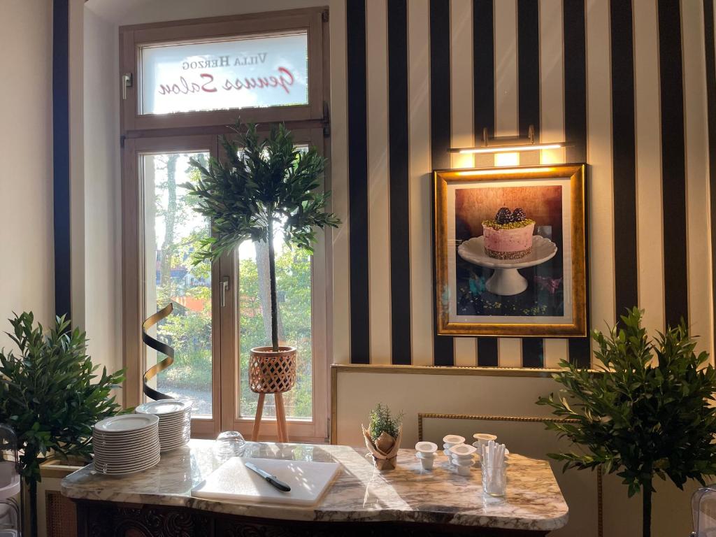 Hotel Villa Herzog - Resim 33